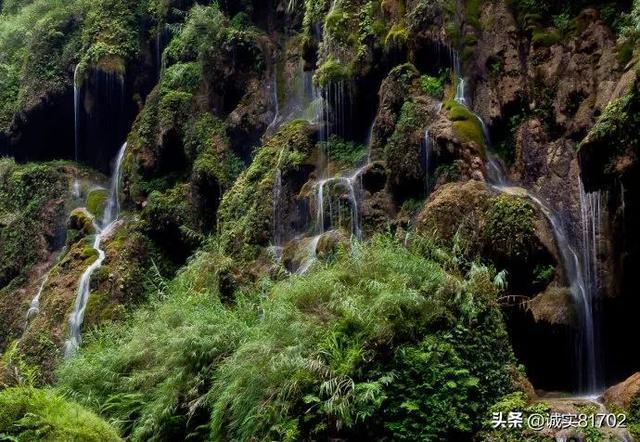 一站式问答网站-鞋子猪皮跟牛反绒哪个好?-高效解答您的疑问